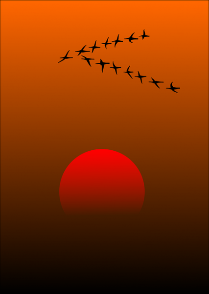 File:Whykvm157638640.png